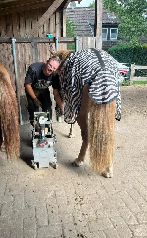 Andre Schnackenberg bei der Hufbearbeitung an einem Pferd mit Zebra-Fliegendecke